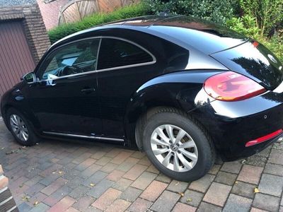 VW Beetle