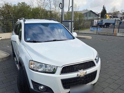 Gebraucht Chevrolet Captiva 164 PS (120 kW) 2012 Weiß SUV