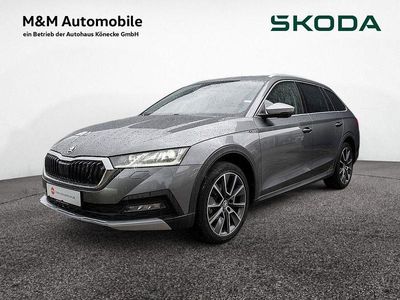 Usata Skoda Octavia Scout 4x4 150 CV (110 kW) 2023 Grigio Station wagon