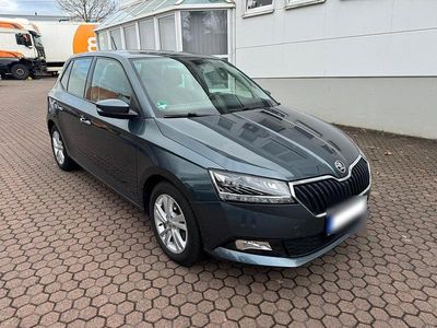 Gebraucht Skoda Fabia 110 PS (80 kW) 2020 Grau Kleinwagen