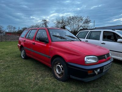 gebraucht VW Golf III + 1,9 Diesel + Kombi + Anhängerkuplung