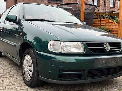VW Polo
