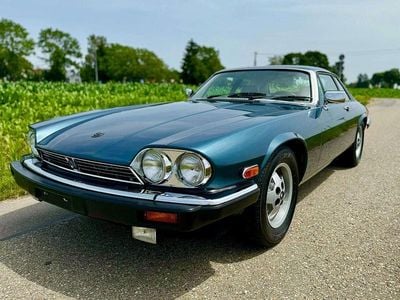 Gebraucht Jaguar XJS 266 PS (195 kW) 1984 Cobaltblau Coupé