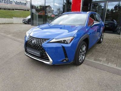 gebraucht Lexus UX Luxury Line Navi/Leder