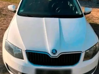 Gebraucht Skoda Octavia 150 PS (110 kW) 2014 Weiß Kombi