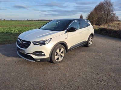 Usata Opel Grandland X Business 131 CV (96 kW) 2019 Bianco SUV