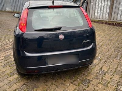 gebraucht Fiat Punto 