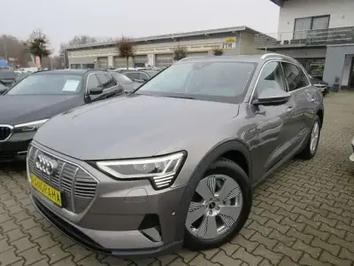 Gebraucht Audi e-tron Basis 300 kW (408 PS) 2021 Taifungrau metallic SUV