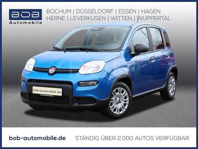 Blau Gebraucht 2024 Fiat Panda Kleinwagen | 13.449 € (Fairer Preis)