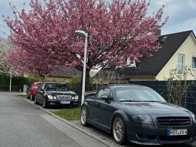 Gebraucht Audi TT Design 260 PS (191 kW) 2003 Grau Coupé
