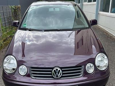 Violett Gebraucht 2002 VW Polo Comfortline Kleinwagen | 3.890 € (Teuer)