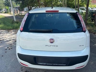 Gebraucht Fiat Punto 69 PS (50 kW) 2010 Weiß Kleinwagen