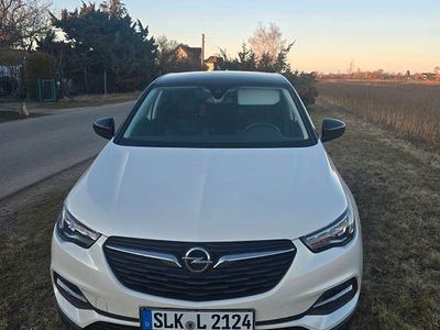Gebraucht Opel Grandland X 131 PS (96 kW) 2020 Weiß SUV