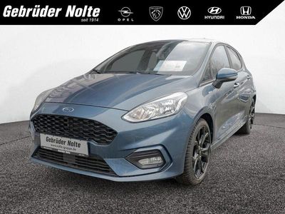 Gebraucht Ford Fiesta ST-Line 86 PS (63 kW) 2019 Blau Kleinwagen