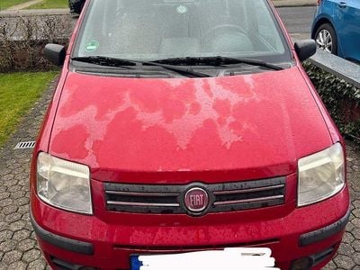 Gebraucht Fiat Panda 60 PS (44 kW) 2009 Rot Kleinwagen