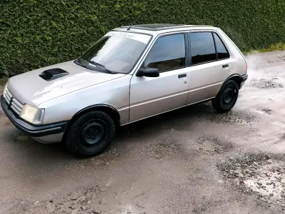 Brugt Peugeot 205 88 HK (64 kW) 1992 Sølv Hatchback