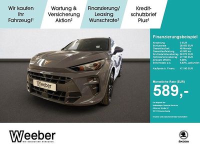 Usata Cupra Terramar VZ 265 CV (194 kW) 2026 Grigio SUV