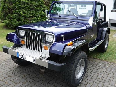 Gebraucht Jeep Wrangler Sahara 179 PS (131 kW) 1993 Blau SUV