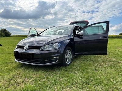 Usata VW Golf VII LOUNGE 125 CV (91 kW) 2015 Grigio Station wagon