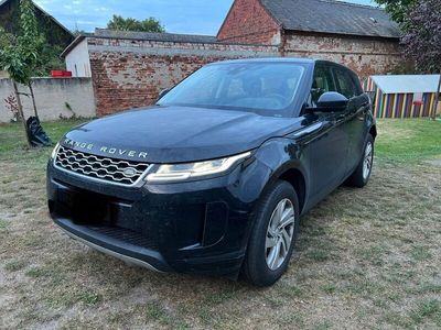 gebraucht Land Rover Range Rover evoque D150 FWD - Pano,Stndhz.,LED