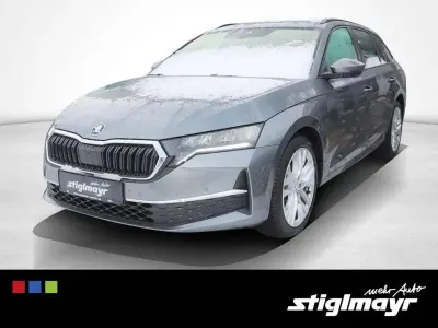 Gebraucht Skoda Octavia Selection 150 PS (110 kW) 2024 Graphitegrau metallic Kombi