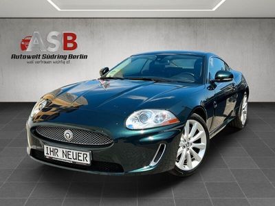 Jaguar XK