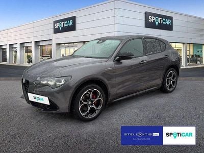 Grau Gebraucht 2024 Alfa Romeo Stelvio Tech Edition SUV | 36.490 € (Fairer Preis)