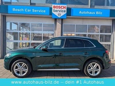 Usata Audi Q5 S-Line 190 CV (139 kW) 2019 Verde SUV