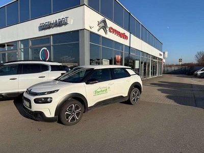 Gebraucht Citroën C4 Cactus Feel 110 PS (80 kW) 2020 Polarweiß Kleinwagen