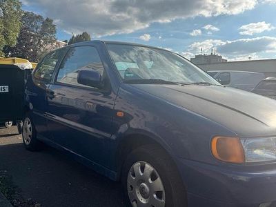 VW Polo