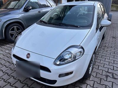 Gebraucht Fiat Punto 70 PS (51 kW) 2015 Weiß Kleinwagen