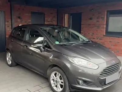 Gebraucht Ford Fiesta Titanium 80 PS (58 kW) 2017 Grau Kleinwagen
