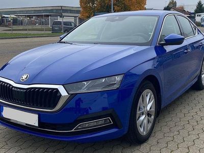 Gebraucht Skoda Octavia 150 PS (110 kW) 2023 Blau Limousine