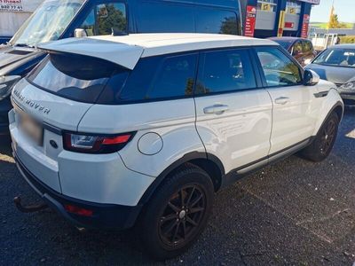 gebraucht Land Rover Range Rover evoque 2.0 TD4 110kW Pure Autom....