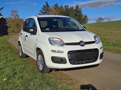 Second-hand Fiat Panda Easy 69 CP (50 kW) 2019 Alb Hatchback