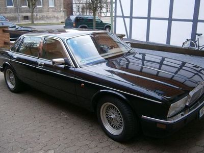 gebraucht Jaguar XJ12 XJ 81, Daimler Ausstattung
