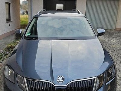 Gebraucht Skoda Octavia Style 150 PS (110 kW) 2019 Grau Kombi