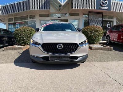 Neu Mazda CX-30 Homura-Line 186 PS (136 kW) 2025 Platinum quartz m SUV