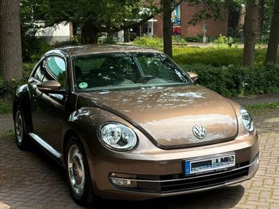 VW Beetle
