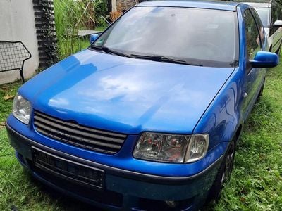 VW Polo