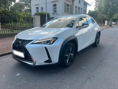 Gebraucht Lexus UX 250h Launch Edition 184 PS (135 kW) 2020 Weiß SUV