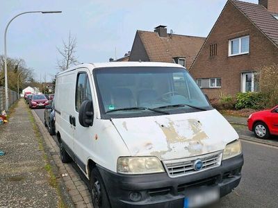 gebraucht Fiat Ducato Transporter Bus Van