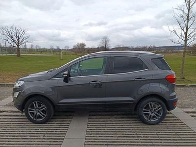 Gebraucht Ford Ecosport Titanium 125 PS (91 kW) 2020 Grau SUV