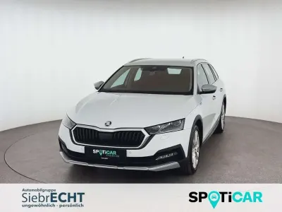 Gebraucht Skoda Octavia Scout Scout 4x4 200 PS (147 kW) 2022 Weiß Kombi