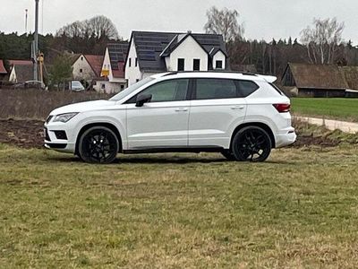 Gebraucht Cupra Ateca 300 PS (220 kW) 2019 Weiß SUV