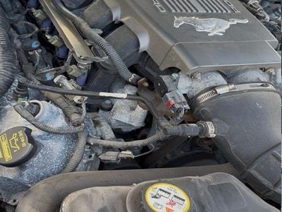 Gebraucht Ford Mustang 305 PS (224 kW) 2010 Schwarz Coupé