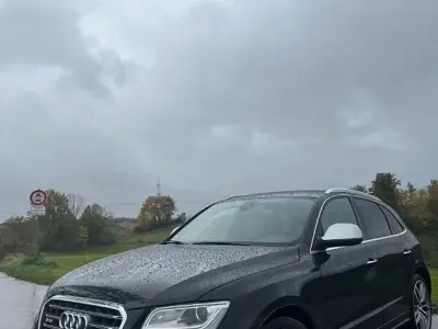 Gebraucht Audi SQ5 Sport 313 PS (230 kW) 2014 Schwarz SUV