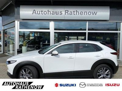 Gebraucht Mazda CX-30 Selection 179 PS (131 kW) 2023 Weiß SUV