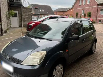 Brugt Ford Fiesta