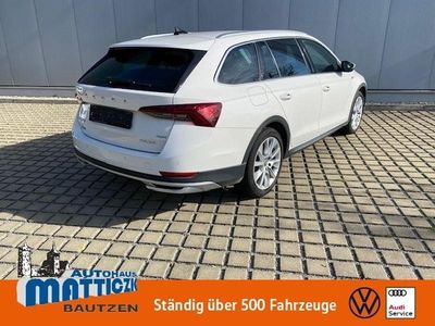 Candy weiß Gebraucht 2022 Skoda Octavia Kombi | 18.960 € (Etwas zu teuer)